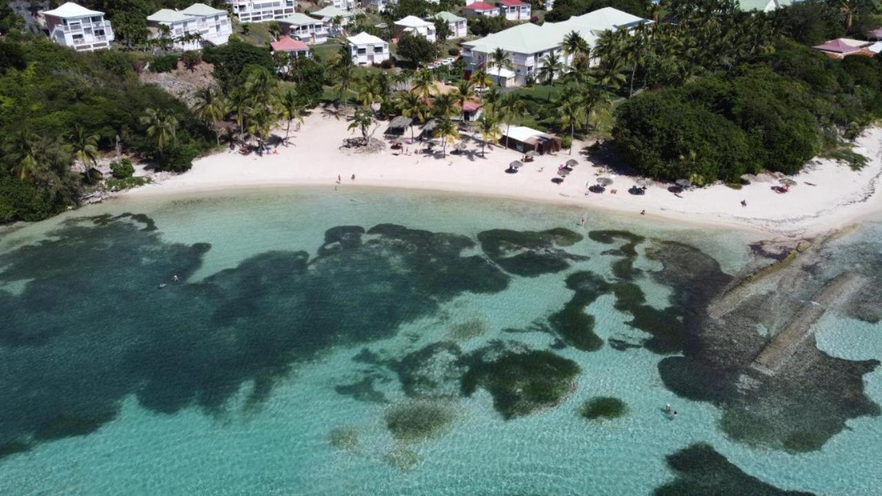 Chaleureux Studio 4 Personnes - Residence Anse Des Rochers - " Les Alizes Du Soir " Tout Equipe Et Citerne D'Eau Saint-Francois  Buitenkant foto
